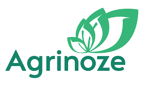 Aginoze