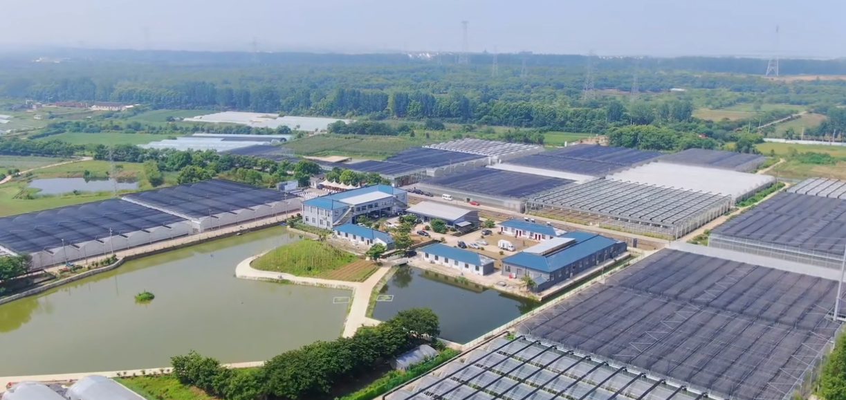 Das hier ist in Lishui.