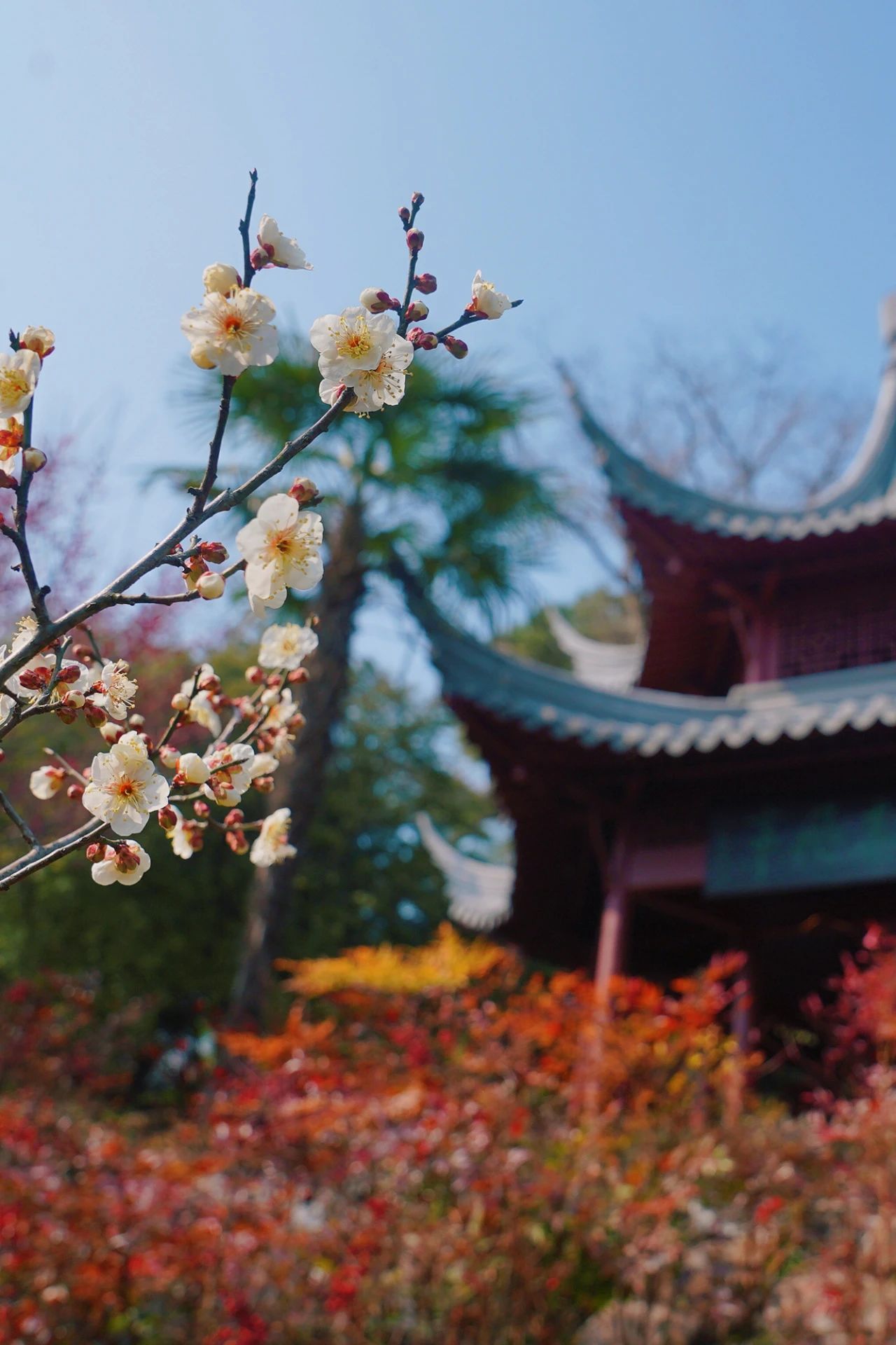 上春山