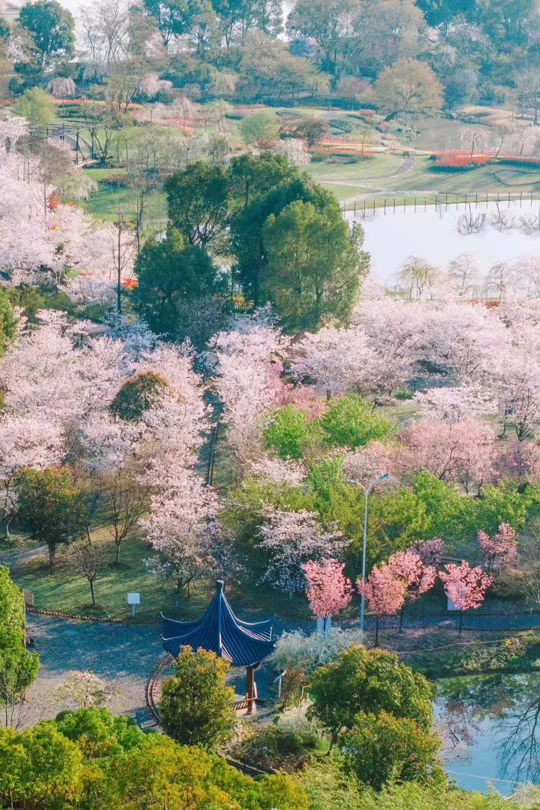 网红地