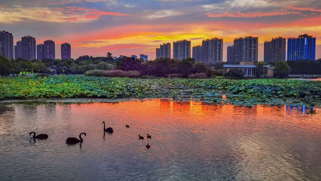 南京人，江湖见